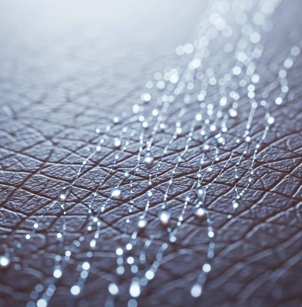 Imagine reprezentativă pentru Mezoterapie